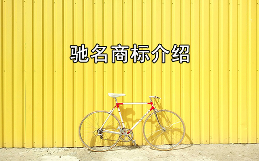 认定驰名商标注意事项