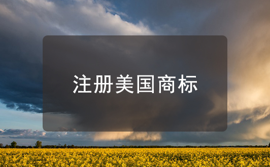 美国人均律师_美国律师(3)