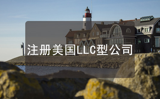 注册美国LLC型公司的优缺点分析，更适合小型企业
