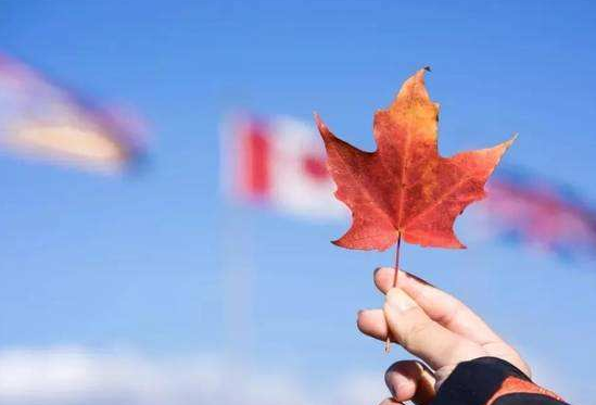 加拿大签证，如何才能不拒签？
