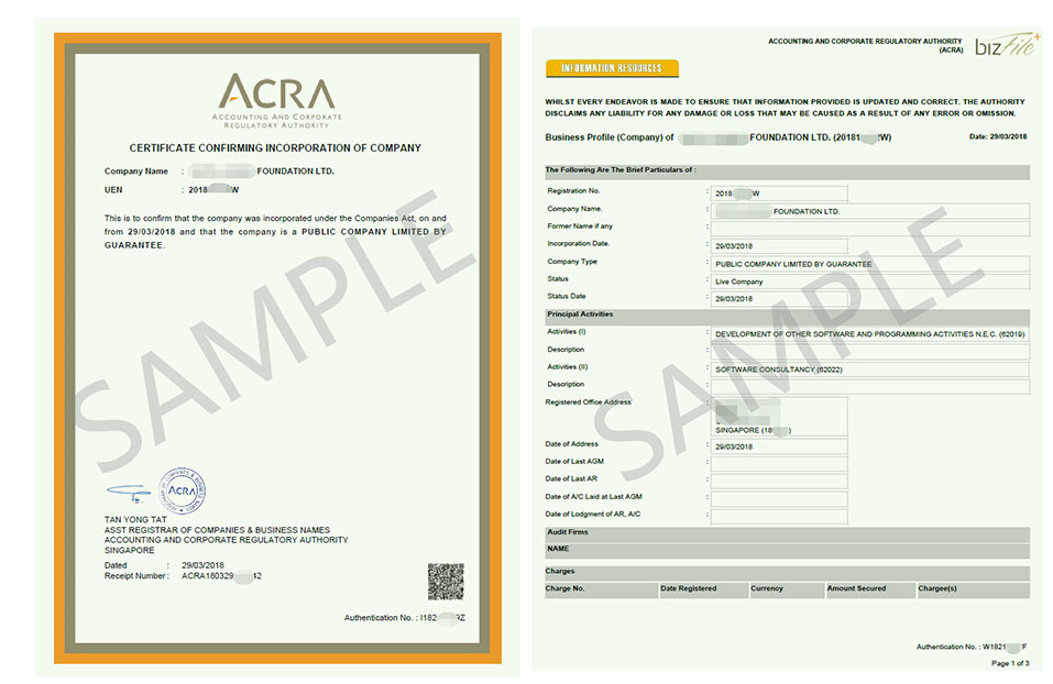 注册新加坡公众公司2