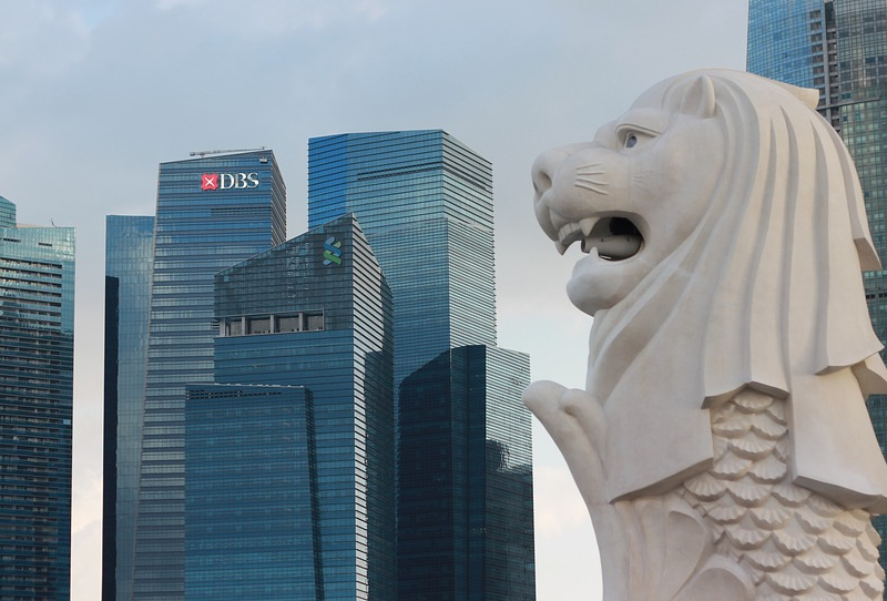 注册新加坡私人有限公司基本法规