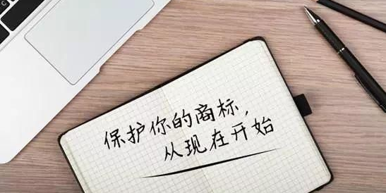 商标专属权维护指南