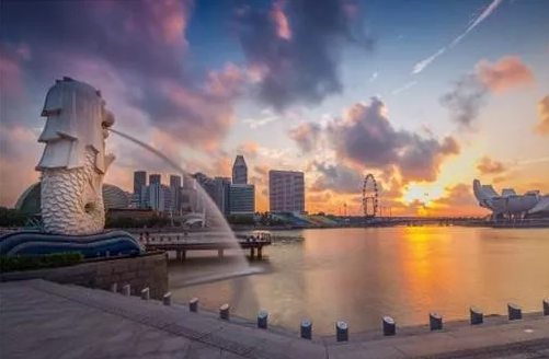 深圳注册新加坡公司及后期维护业务1