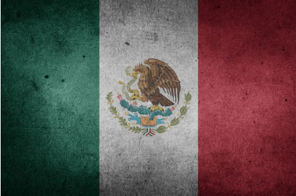 「注册墨西哥商标」墨西哥商标注册流程1
