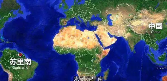 苏里南对中国免签,苏里南海关规定解读3