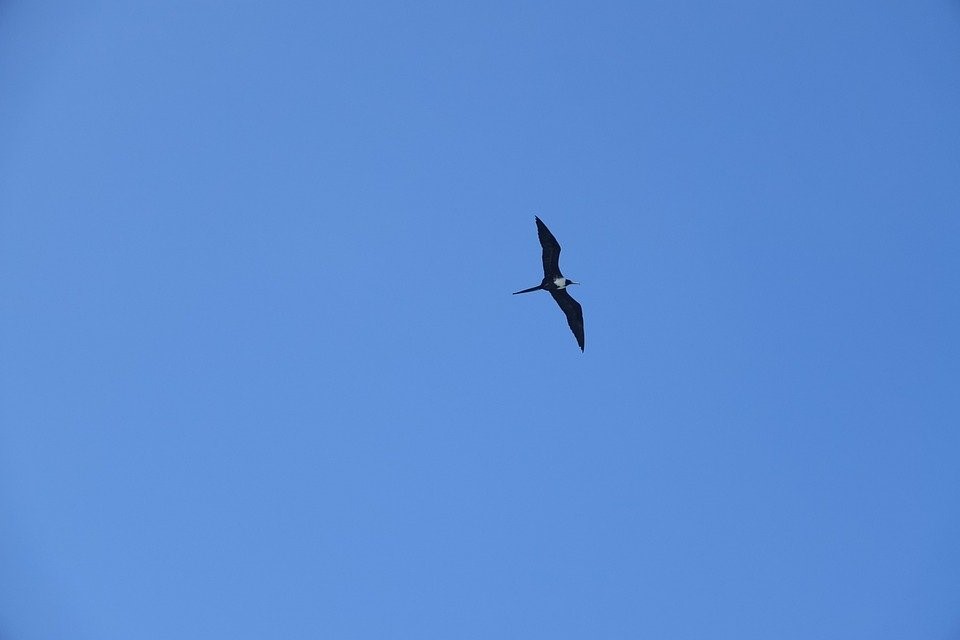 注册开曼公司之后可以变更公司股东吗？