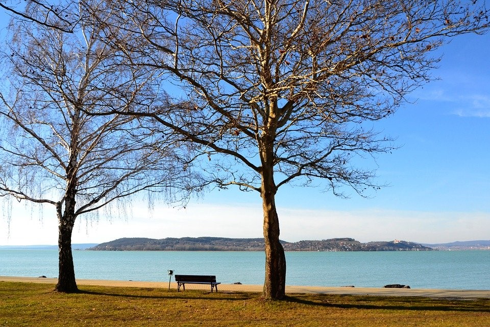 注册马绍尔公司想要中文名称可以吗？