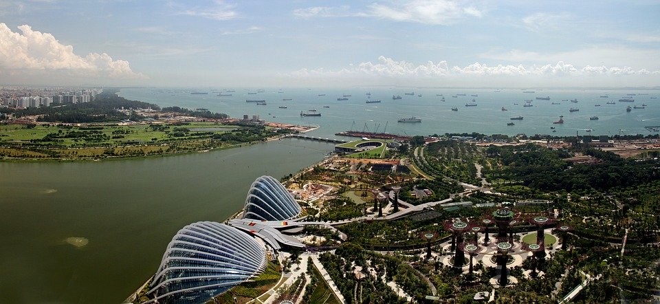 成立新加坡公司有哪些开放型经济政策？