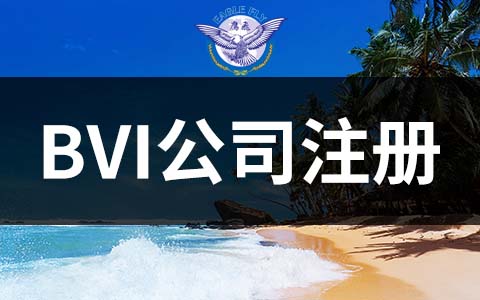 bvi公司年审